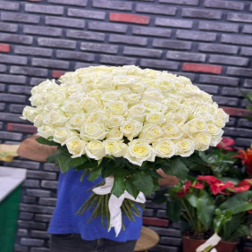  Доставка цветов в Кемер  Букет Белых Роз