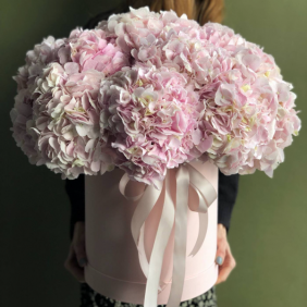 Kemer Florist Hydrangea pink 9 pieces in pink box