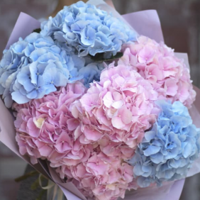  Kemer Flower Delivery hydrangea bouquet pink blue 7 pcs