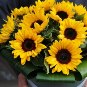 Kemer Florist 19 pieces sunflower arrangement in a box