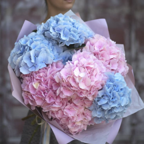  Kemer Flower Delivery hydrangea bouquet pink blue 7 pcs